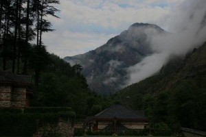 Nature around