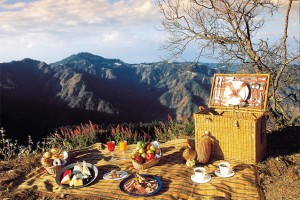 Picnic Picnic