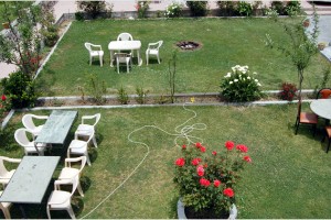 Garden Area Garden Area