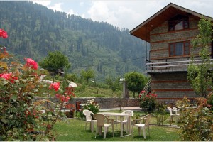 Cottage Surrounded by Garden Cottage Surrounded by Garden