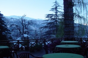 OPen Air Restaurant OPen Air Restaurant