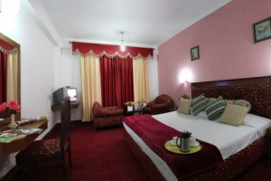 Room at Chander Palace