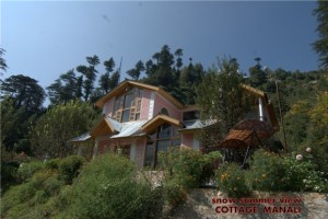 View of the Cottage
