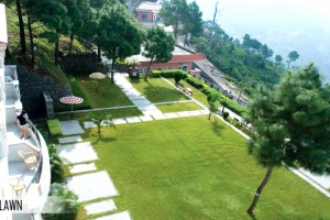 Green Lawn