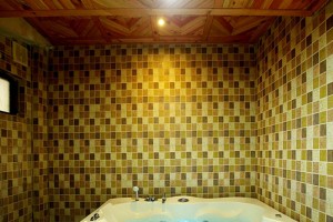 Luxury Bathroom Luxury Bathroom