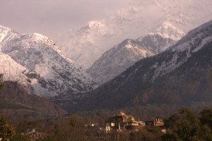 Snow-capped Dhauladhar