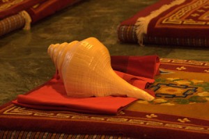 Conch