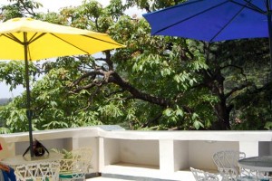 Terrace Terrace