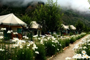 Camps