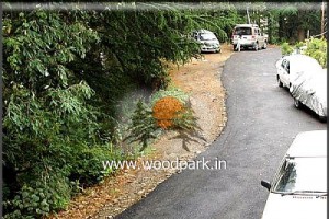 Parking Parking