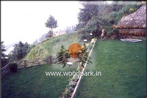 Lawn Lawn