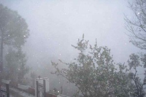 Snowfall Snowfall