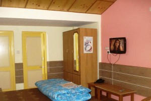 Room with sloping wooden roof Room with sloping wooden roof