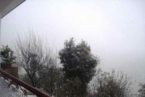 Foggy Foggy