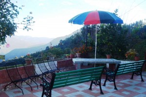 Enjoy nature from these antique benches Enjoy nature from these antique benches