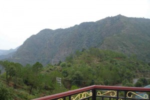 Amidst Greenery Amidst Greenery