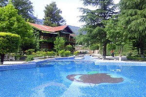Swimming Pool Swimming Pool