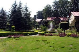 Lawn Lawn