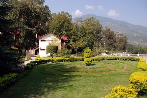 Greenery Greenery