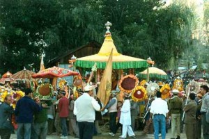 Festival Festival