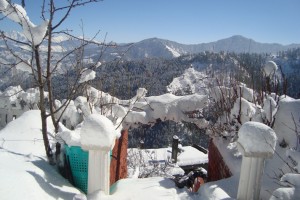 Winter Winter