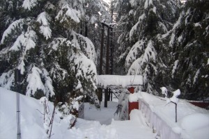 Unique stay Unique stay