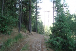 Nature Trail Nature Trail