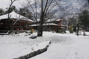 Winters