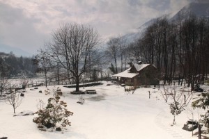 View at Winter
