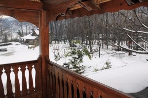 Snowfall view
