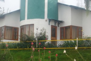 Garden Garden