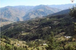Village