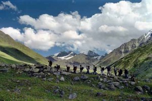 Trekking