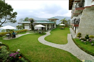 Lawn Area