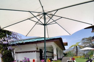 Garden Dining