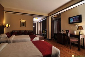 Well Furnished Room