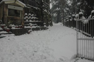 Resort during snowfall