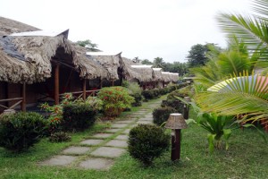 Cottage View