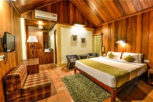 Challet Room Interior