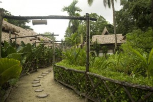 Garden Area