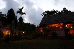 Cottage View at Night