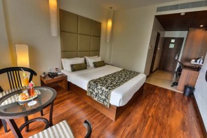 Luxury Room Luxury Room