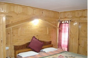 Wodden interiors