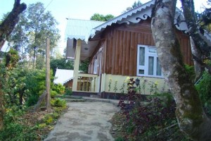 Alpine Cottage