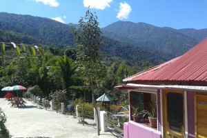 Resort View
