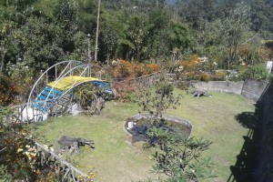Garden Area
