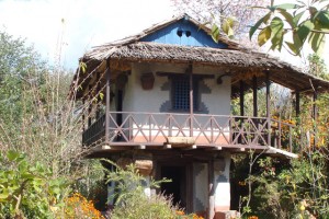 Tree House