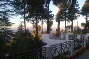 View from the Balcony