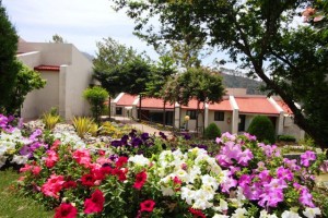 Sprawling Gardens