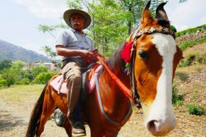 Horse Riding